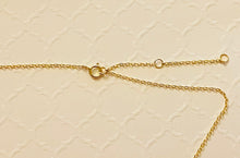 Load image into Gallery viewer, Danglin CZ Necklace